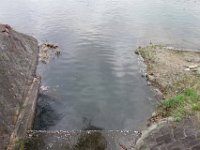 DSC04700