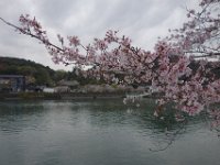 DSC04701