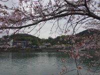 DSC04702