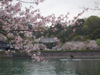 DSC04703