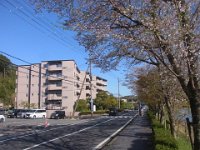 RIMG2144