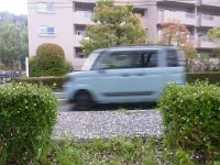 RIMG2154