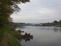 DSC04771