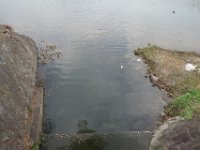 DSC04781