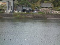 DSC04782