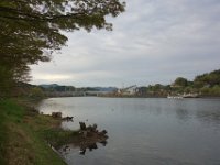 DSC04785
