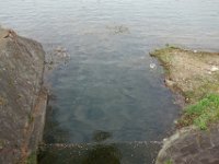 DSC04806