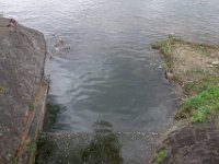 DSC04820