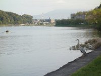 DSC04905
