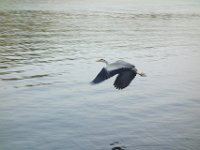 DSC04906
