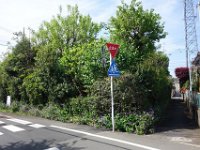 DSC04924