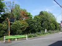 DSC04926