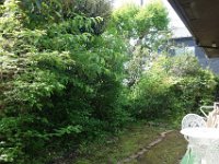 DSC04931