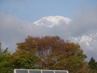 RIMG2263