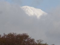 RIMG2267