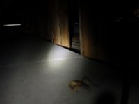 DSC04971