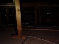 DSC04974