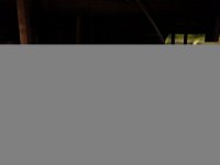 DSC04977
