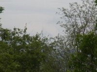 RIMG0033