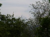 RIMG0033XX