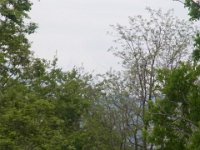 RIMG0034