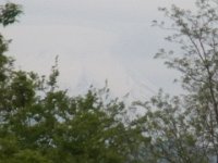 RIMG0035