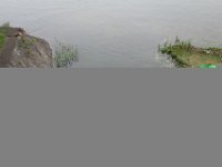 DSC05090