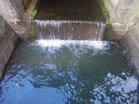 RIMG0278