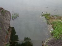 DSC05132