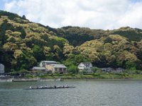 DSC05230