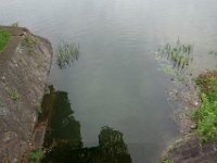 DSC05286