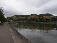 RIMG0355
