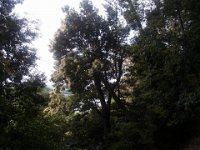 RIMG0376