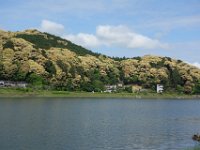 DSC05310