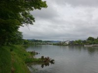 DSC05343