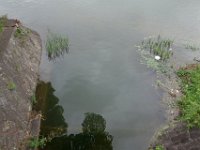 DSC05354