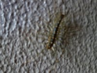 DSC05378