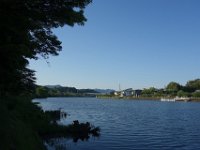 DSC05386