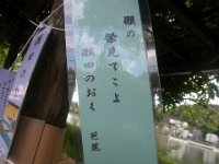 RIMG0448