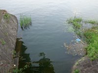 DSC05444