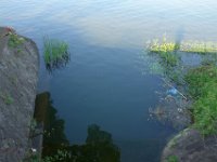 DSC05470