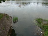 DSC05482