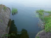 DSC05565