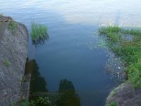 DSC05577