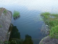DSC05589