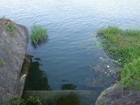 DSC05595