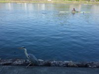 DSC05607