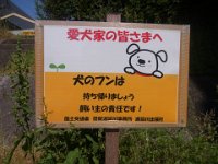 RIMG0518