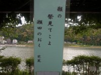 RIMG0534
