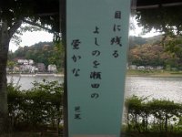 RIMG0535